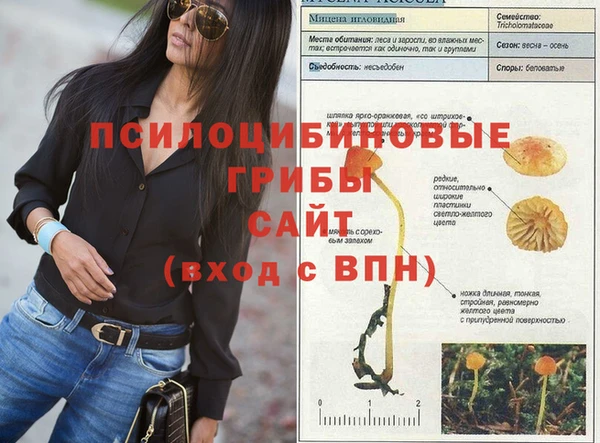 дмт Белоозёрский